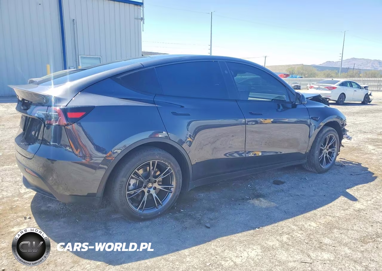 2024 Tesla Model Y VIN:7SAYGDED6RF124308 - 3