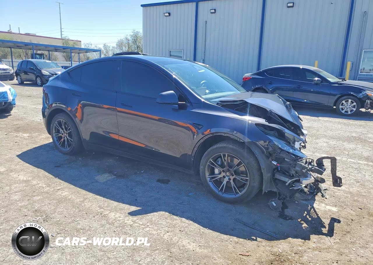2024 Tesla Model Y VIN:7SAYGDED6RF124308 - 4