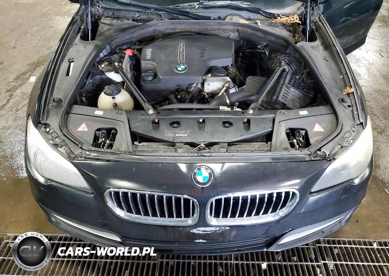 2014 BMW 528 Xi VIN:WBA5A7C55ED613392 - 11