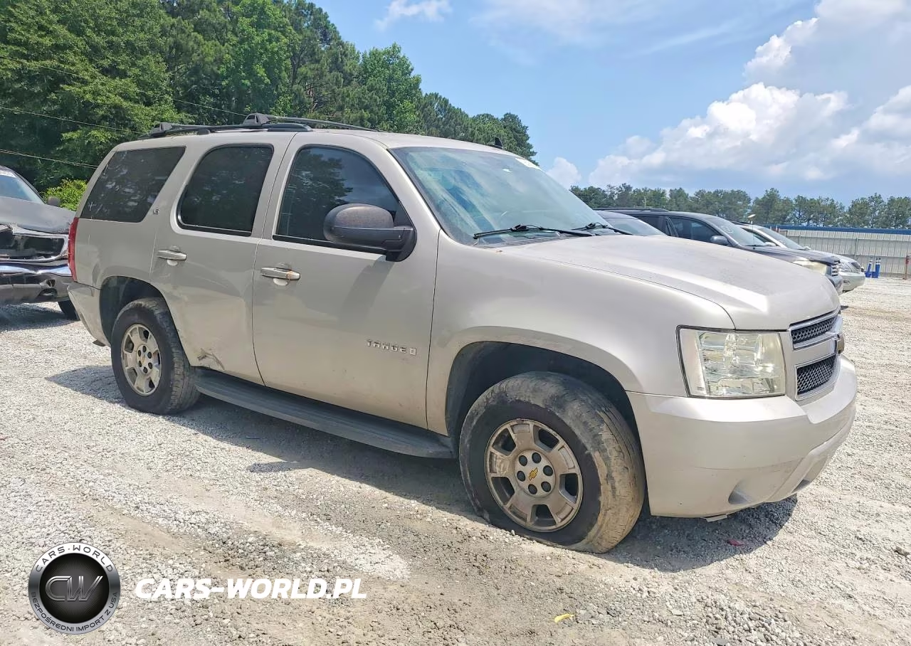2009 Chevrolet Tahoe C1500 Ls VIN:1GNFC13C19R156173 - 4