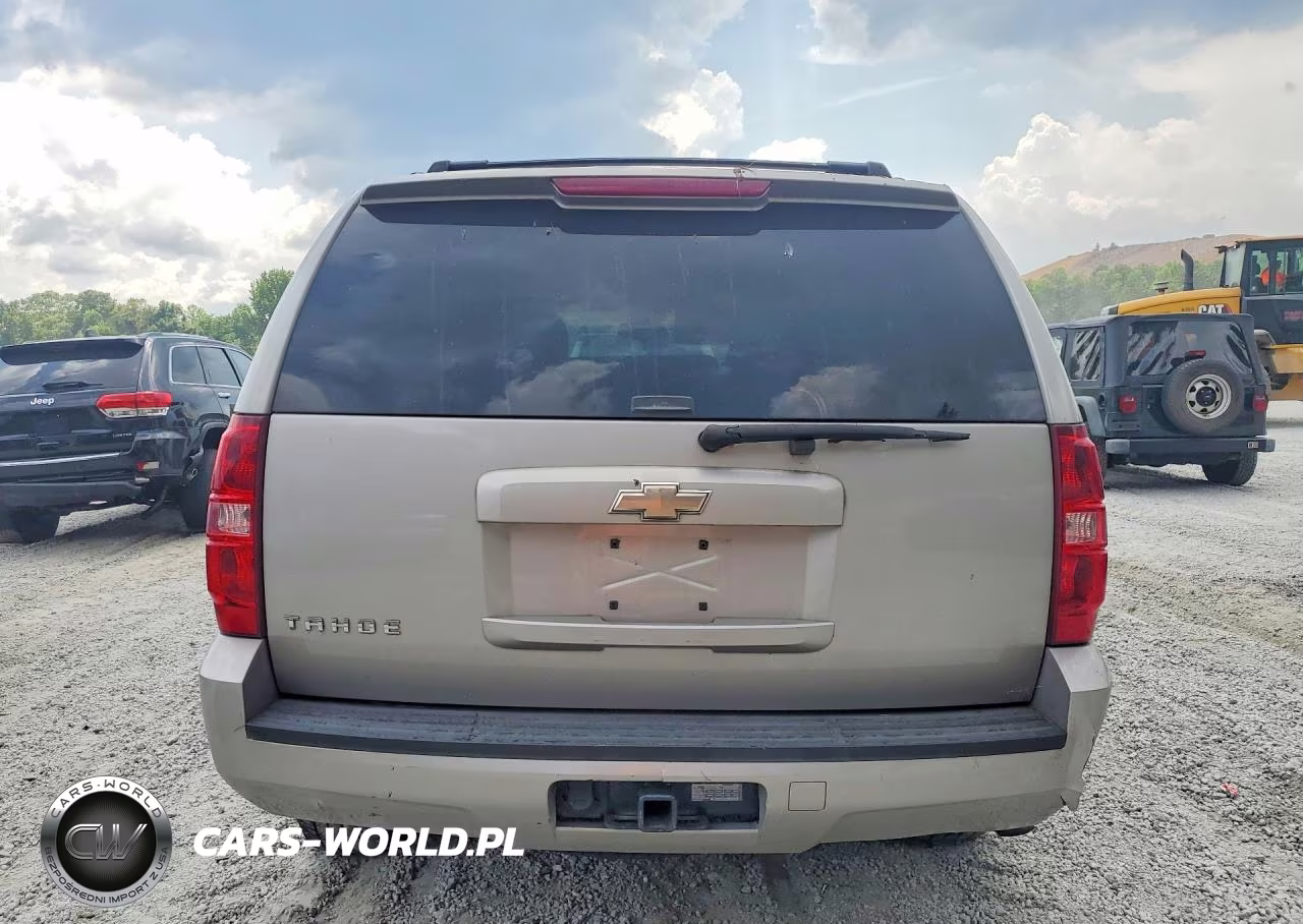 2009 Chevrolet Tahoe C1500 Ls VIN:1GNFC13C19R156173 - 6