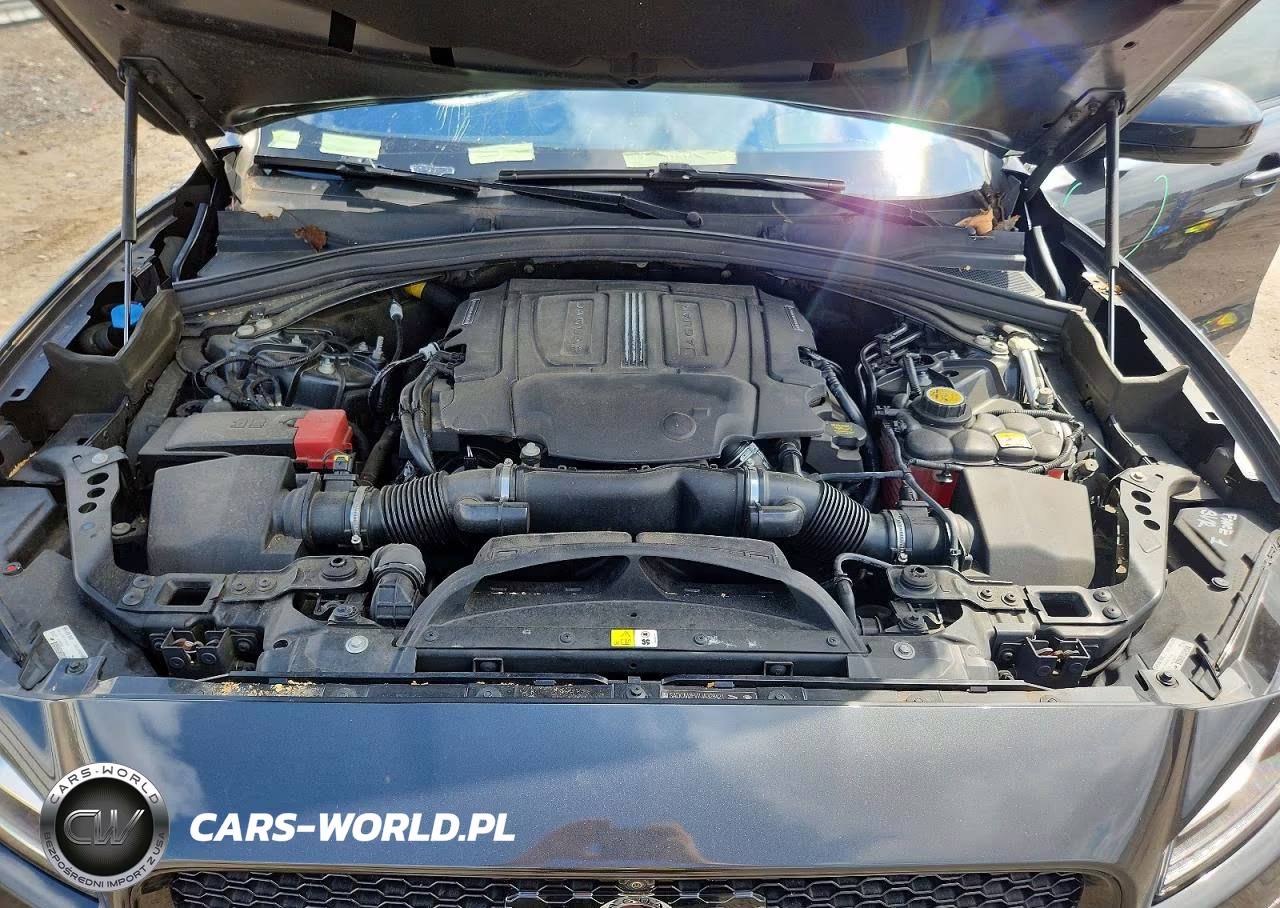 2018 Jaguar F-Pace S VIN:SADCM2FV7JA328421 - 12