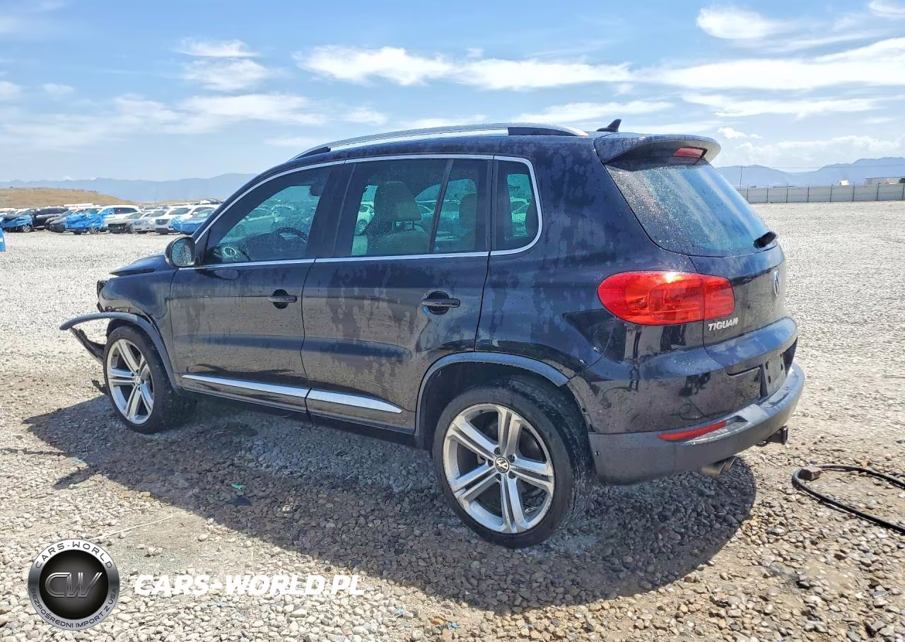 2014 Volkswagen Tiguan S VIN:WVGBV3AX2EW084670 - 2
