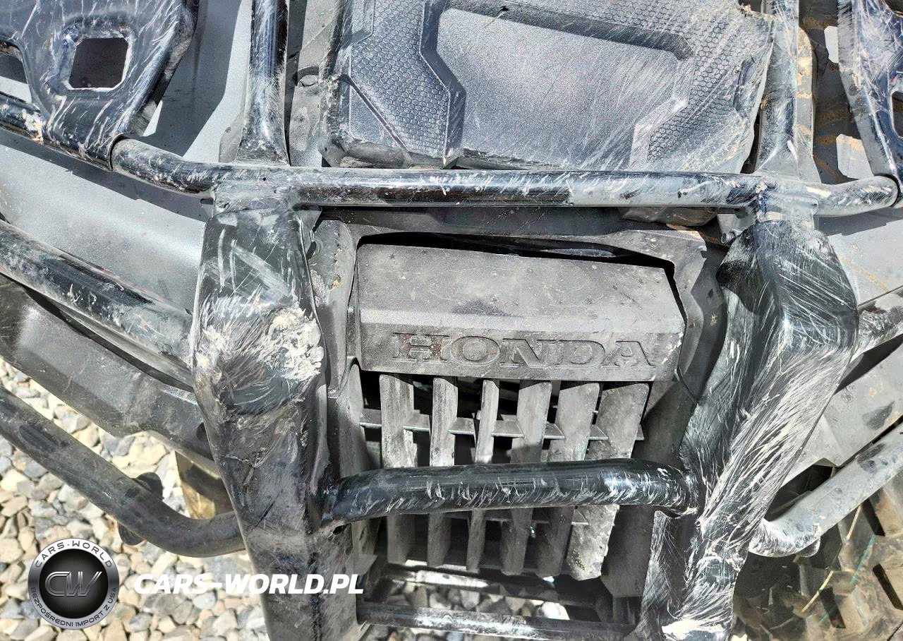 2026 Honda Rubicon Atv VIN:1HFTE4673TJ201650 - 10
