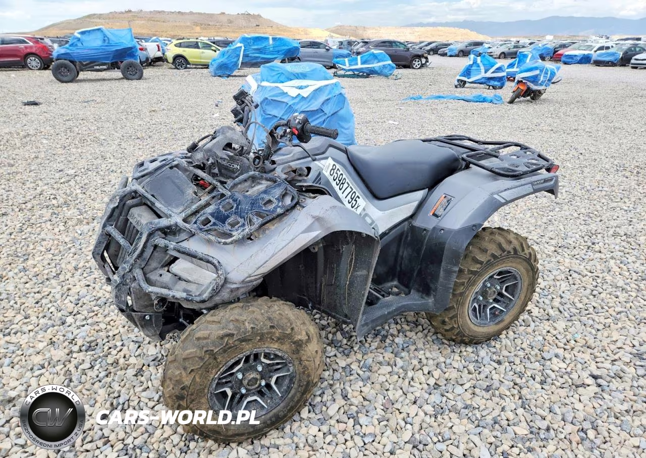 2026 Honda Rubicon Atv VIN:1HFTE4673TJ201650 - 2
