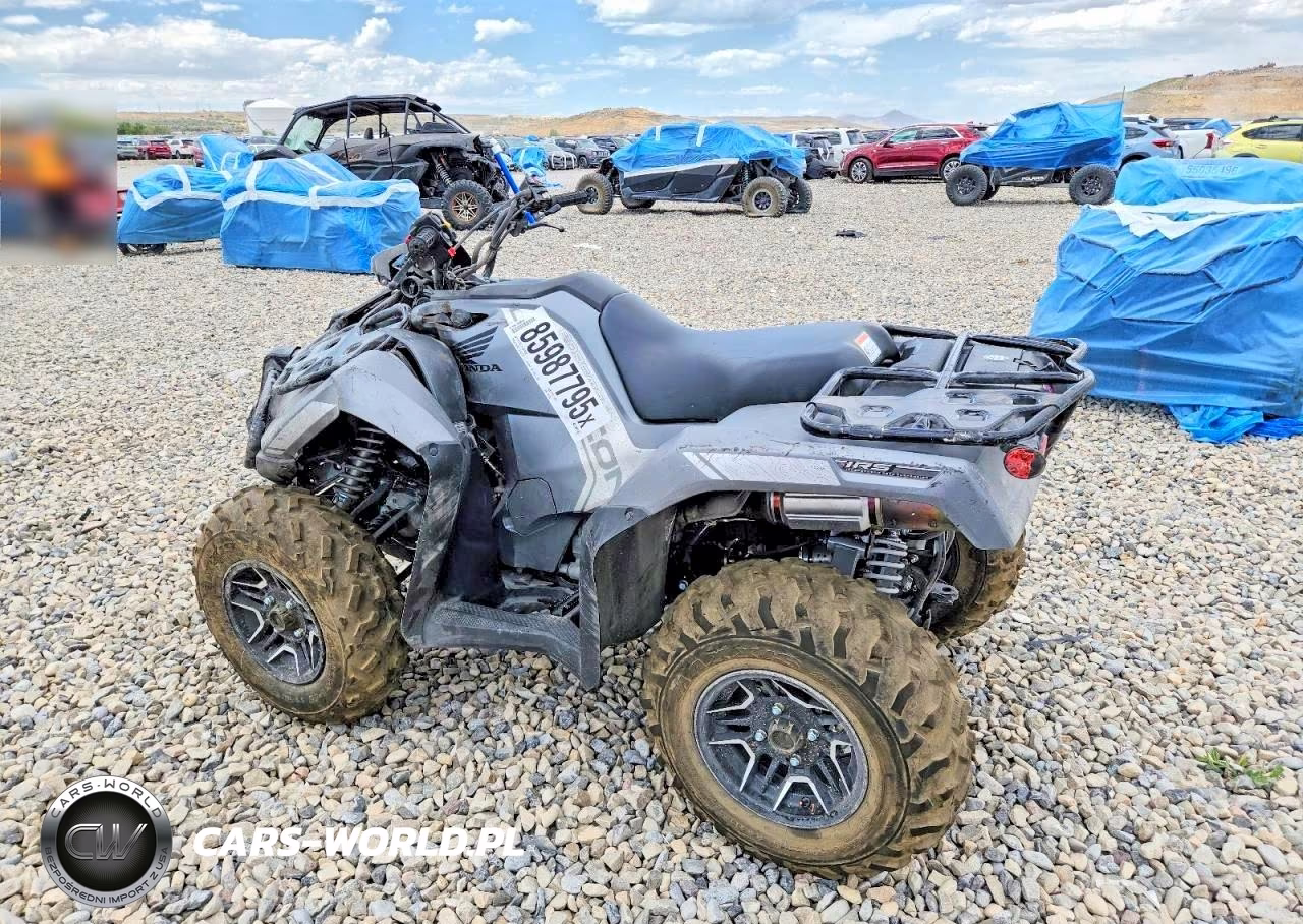 2026 Honda Rubicon Atv VIN:1HFTE4673TJ201650 - 3