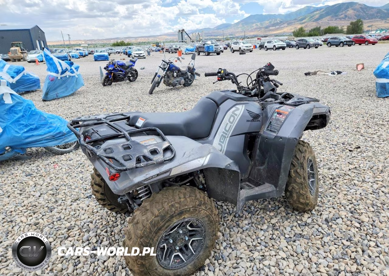 2026 Honda Rubicon Atv VIN:1HFTE4673TJ201650 - 4