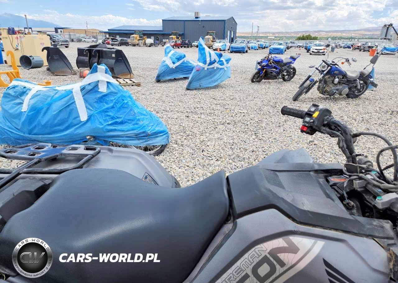 2026 Honda Rubicon Atv VIN:1HFTE4673TJ201650 - 5