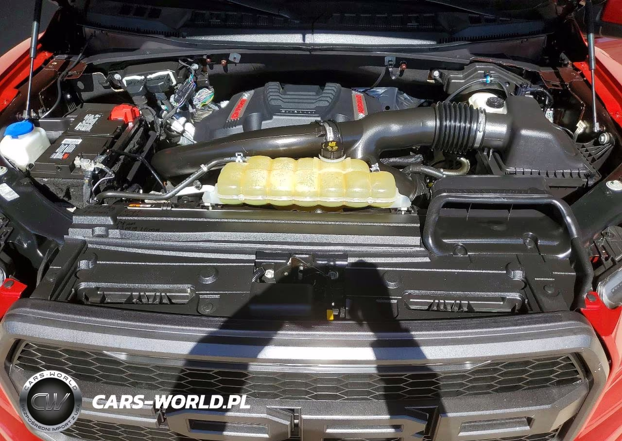 2020 Ford F-150 Raptor VIN:1FTFW1RG0LFA07420 - 11