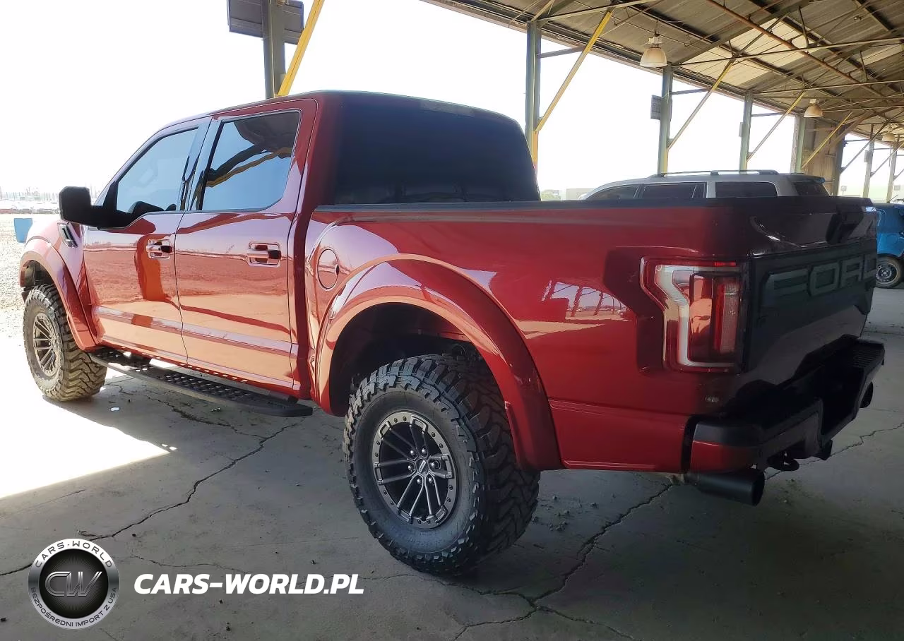 2020 Ford F-150 Raptor VIN:1FTFW1RG0LFA07420 - 2