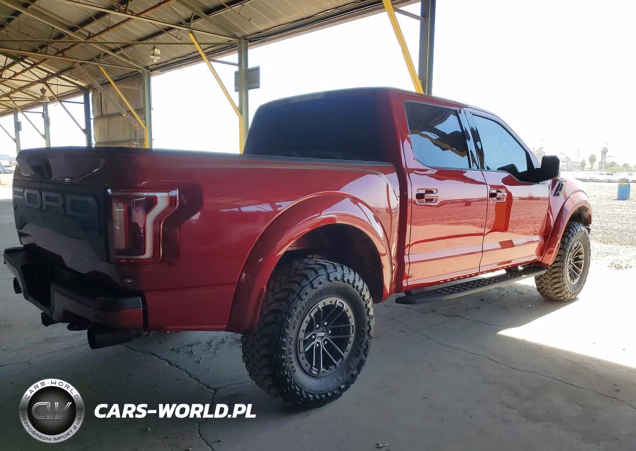 2020 Ford F-150 Raptor VIN:1FTFW1RG0LFA07420 - 3