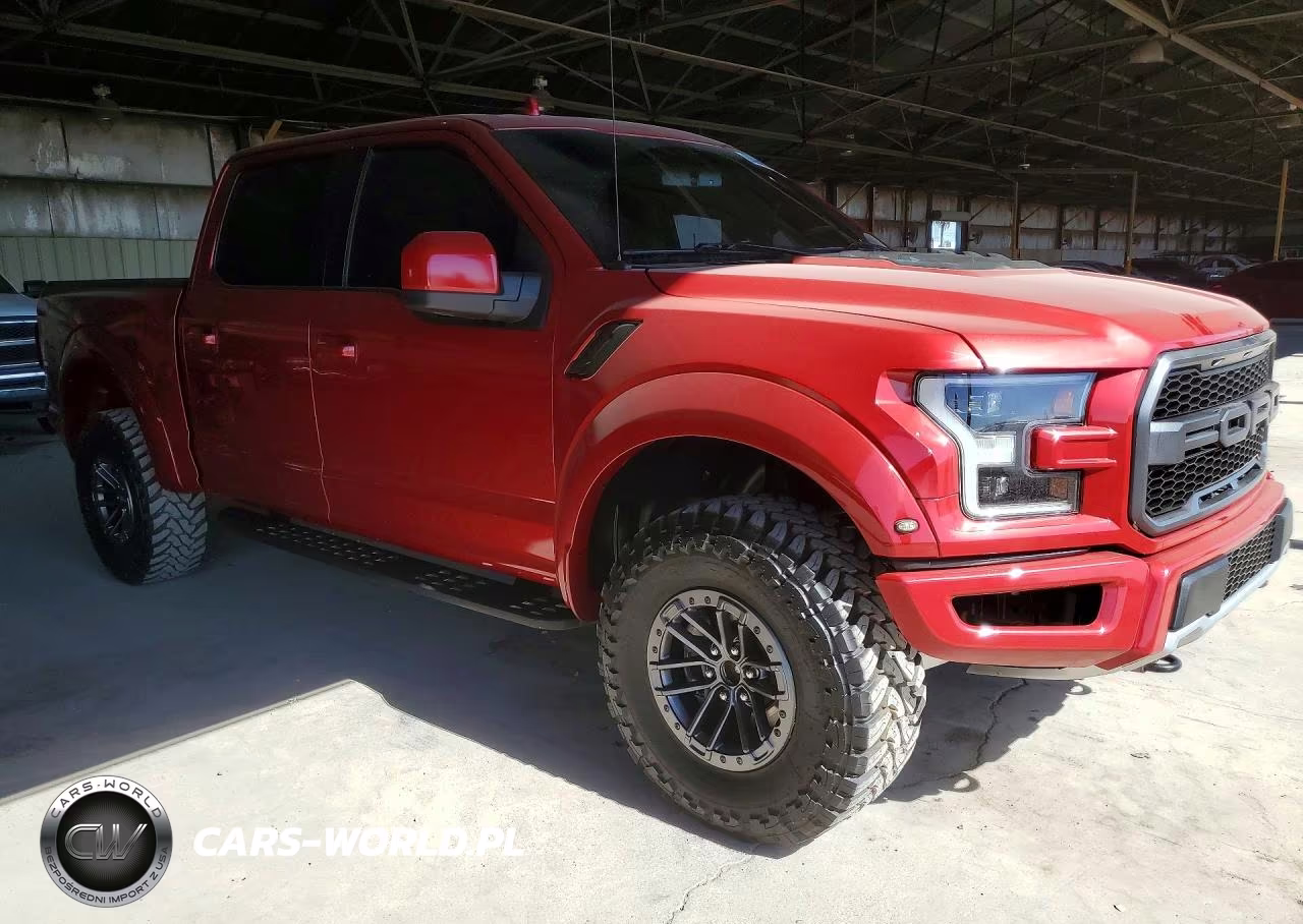 2020 Ford F-150 Raptor VIN:1FTFW1RG0LFA07420 - 4