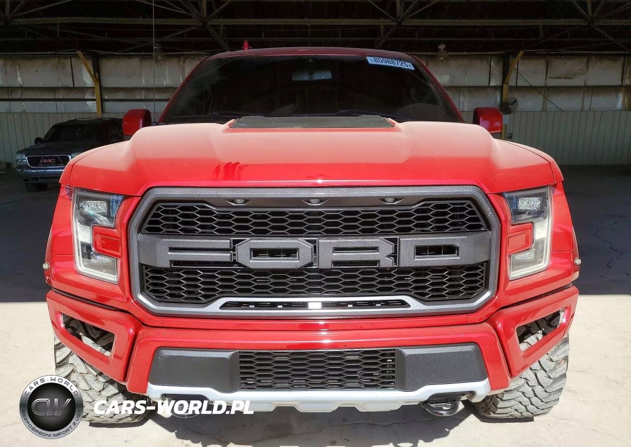2020 Ford F-150 Raptor VIN:1FTFW1RG0LFA07420 - 5