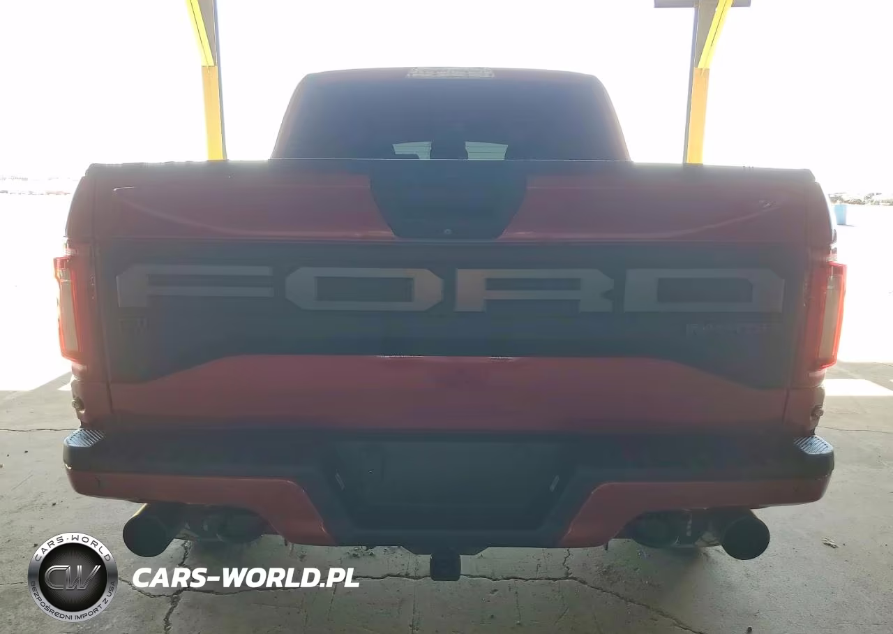 2020 Ford F-150 Raptor VIN:1FTFW1RG0LFA07420 - 6