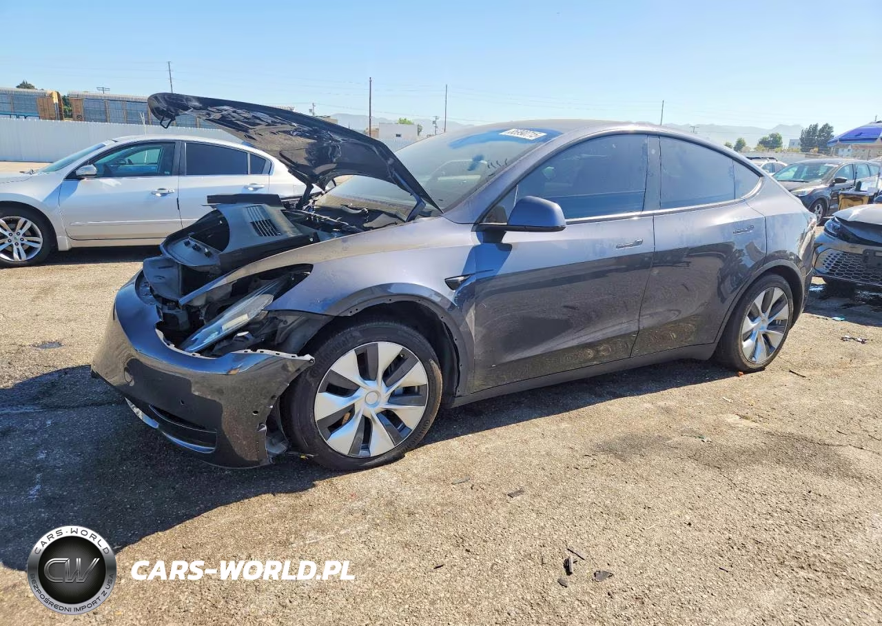 2020 Tesla Model Y