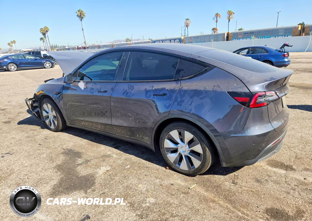 2020 Tesla Model Y VIN:5YJYGDEE9LF017816 - 2