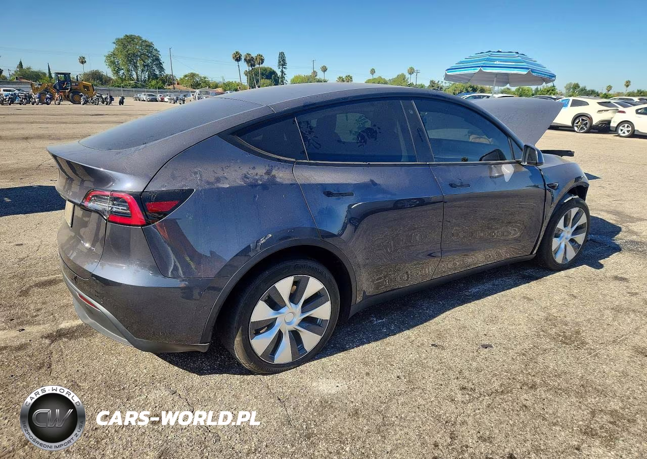 2020 Tesla Model Y VIN:5YJYGDEE9LF017816 - 3