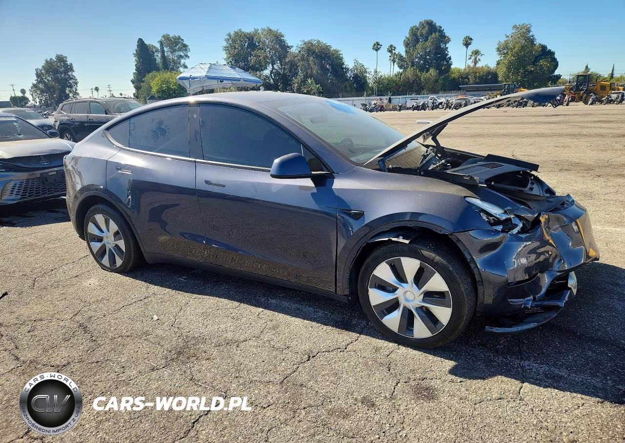 2020 Tesla Model Y VIN:5YJYGDEE9LF017816 - 4