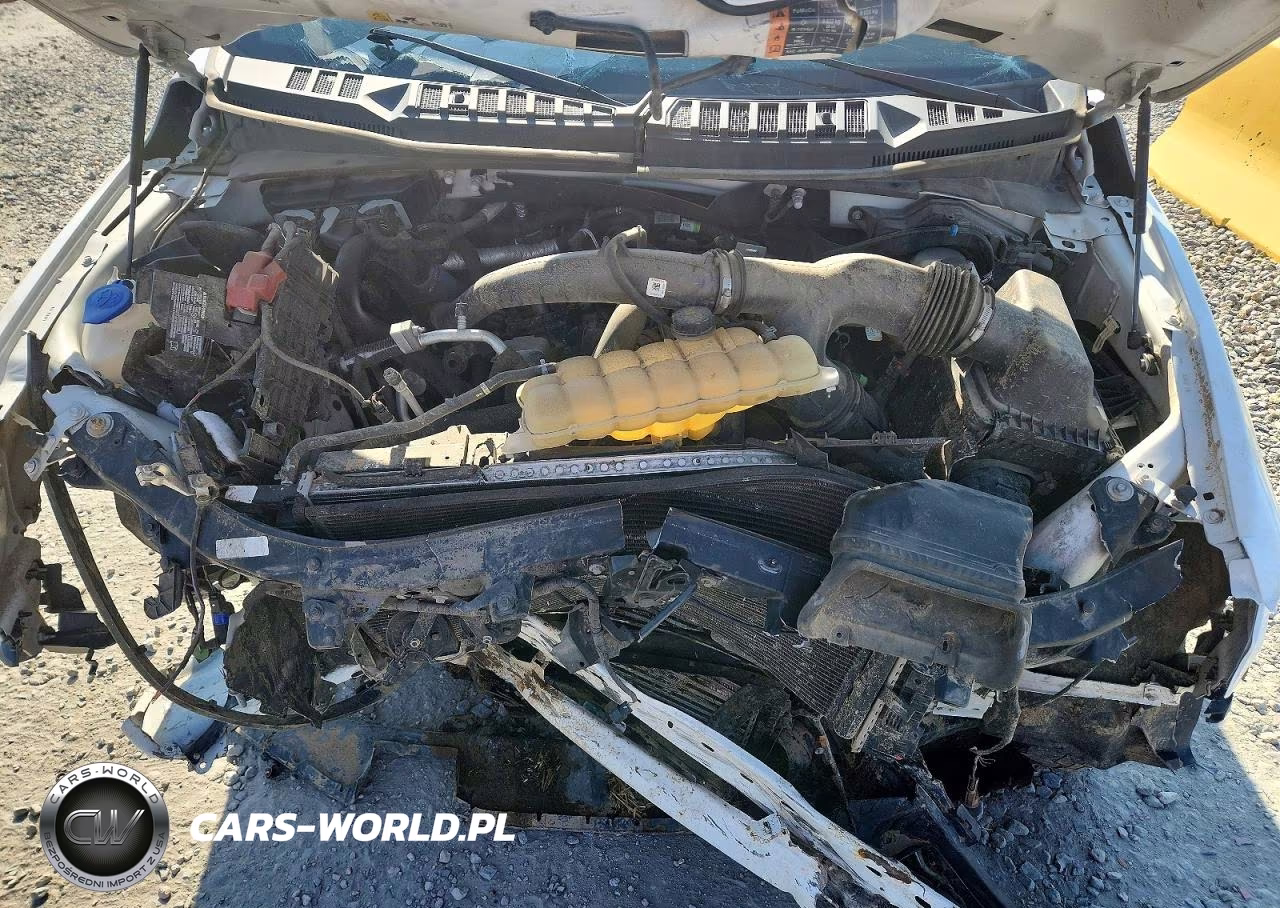 2019 Ford F150 Supercrew VIN:1FTEW1EP3KKD72259 - 11