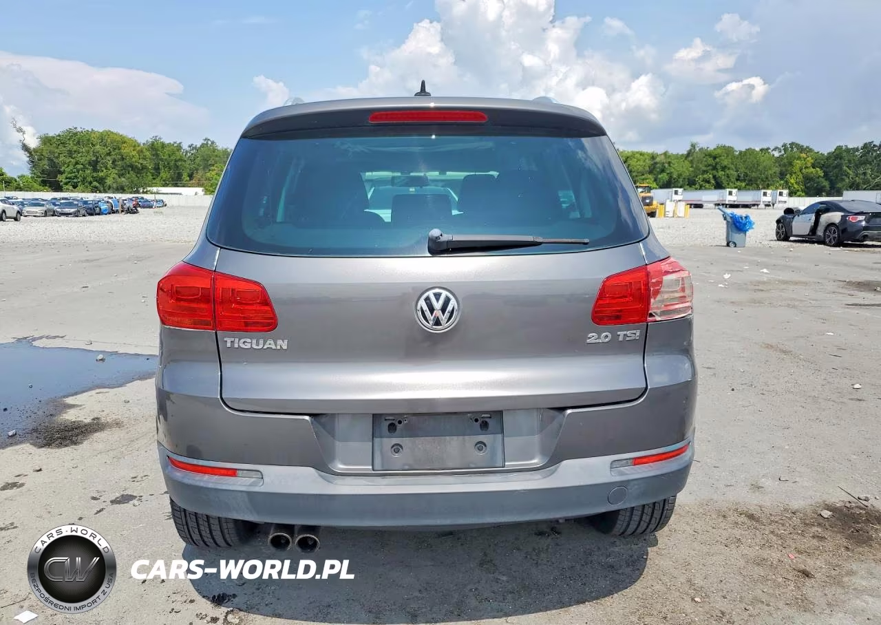 2015 Volkswagen Tiguan S VIN:WVGAV7AX7FW516013 - 6