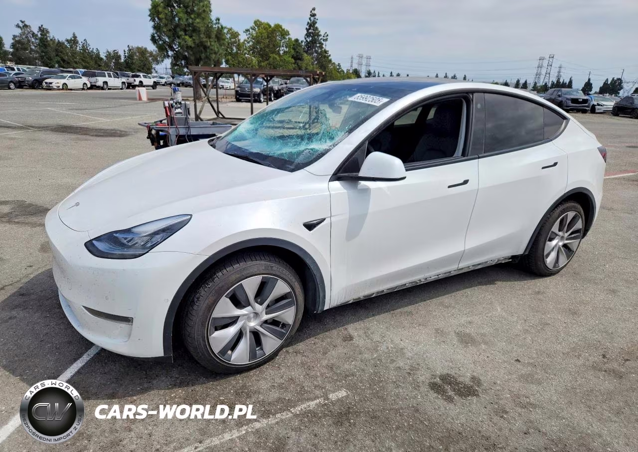 2022 Tesla Model Y VIN:7SAYGDEE8NF327641 - 1