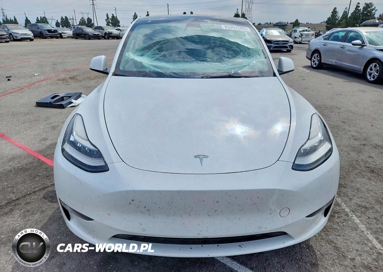 2022 Tesla Model Y VIN:7SAYGDEE8NF327641 - 5