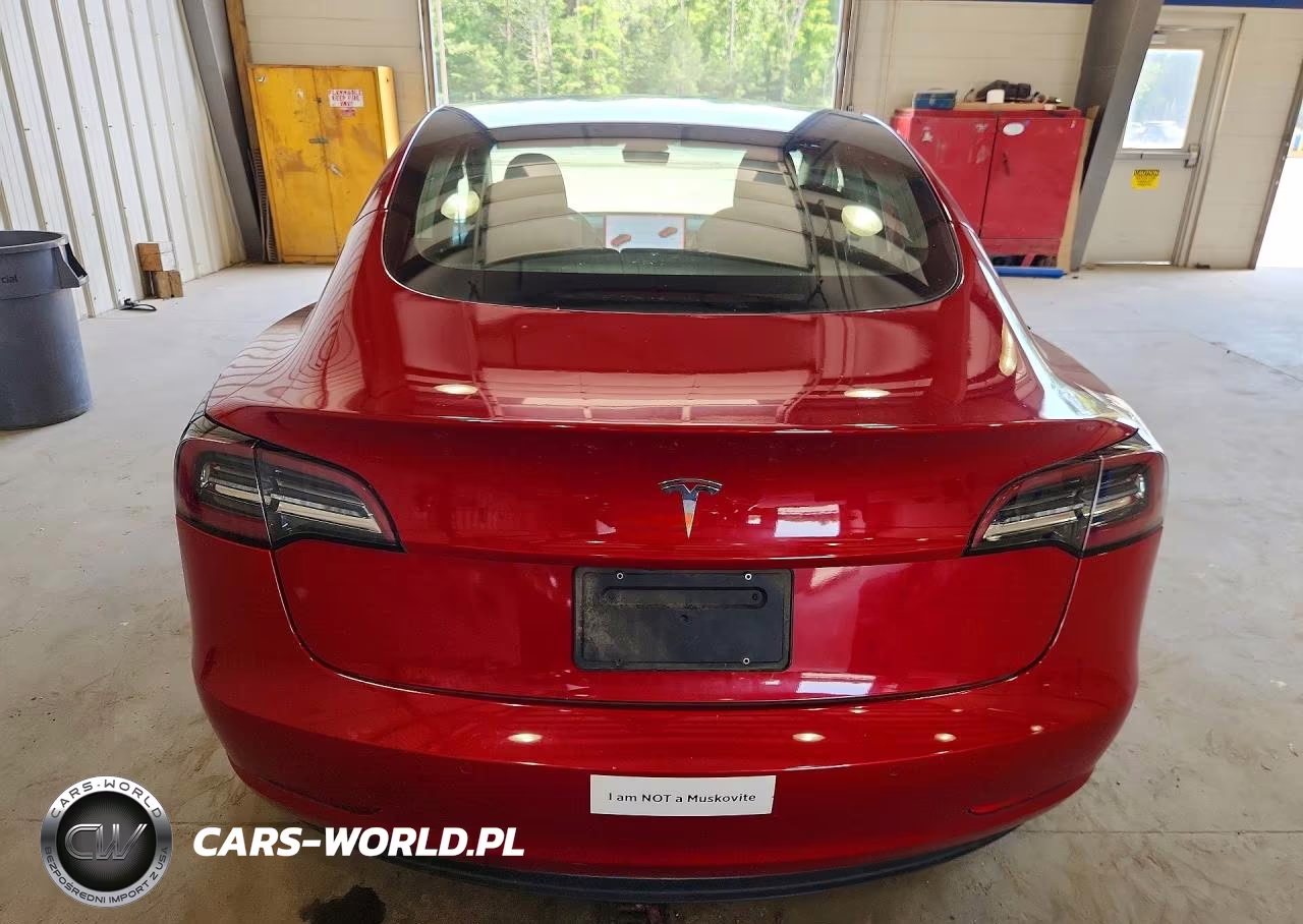 2020 Tesla Model 3 VIN:5YJ3E1EA1LF736750 - 6