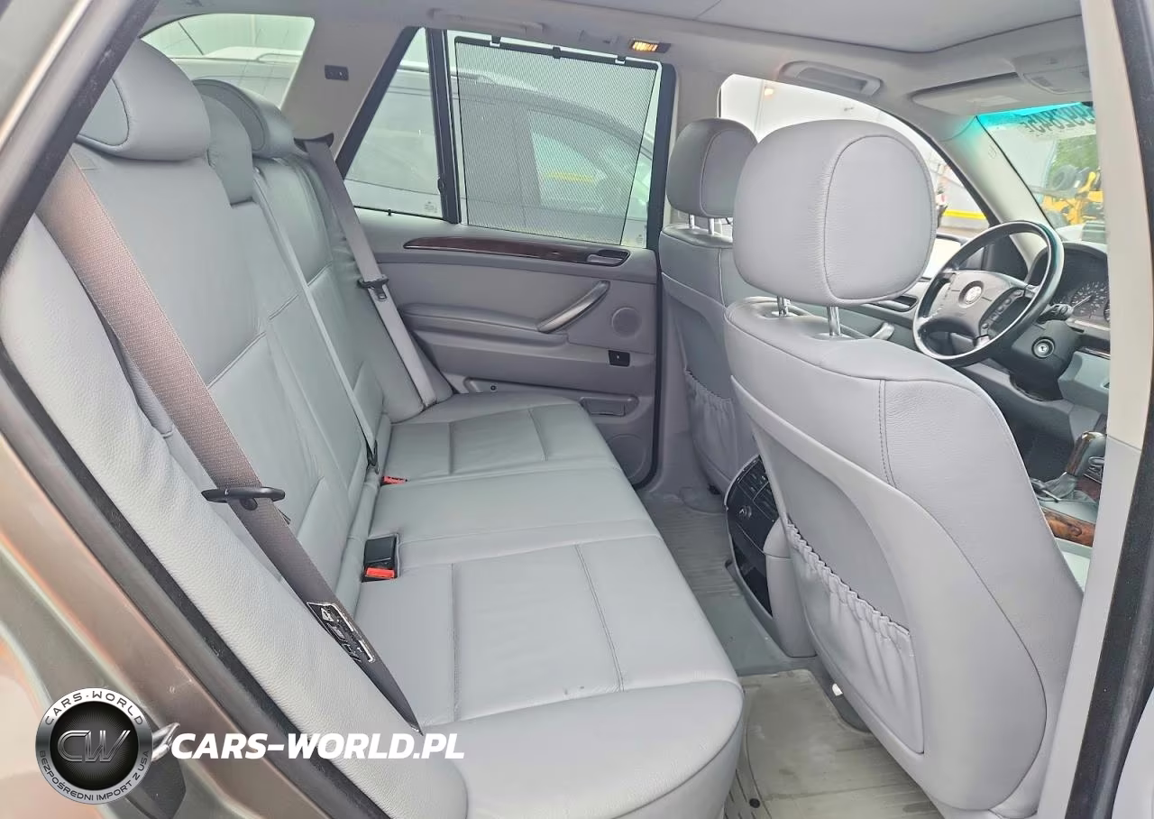 2006 BMW X5 3.0I VIN:5UXFA13566LY32906 - 10