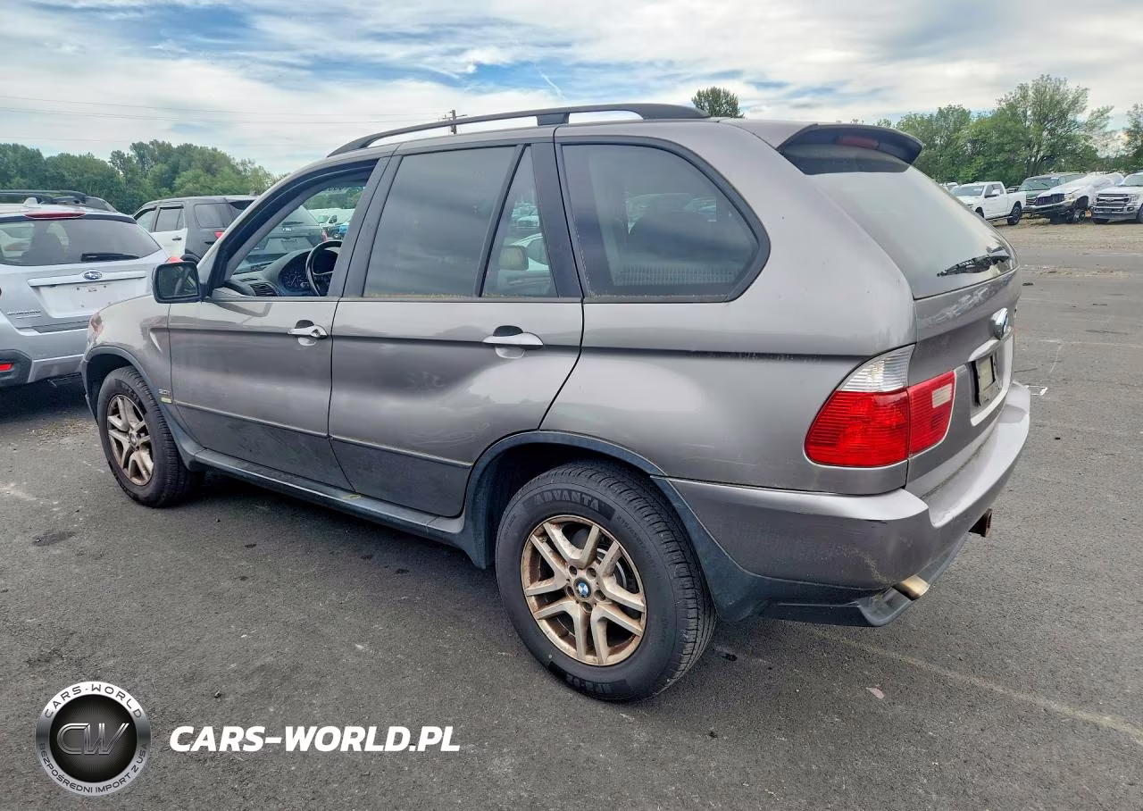 2006 BMW X5 3.0I VIN:5UXFA13566LY32906 - 2