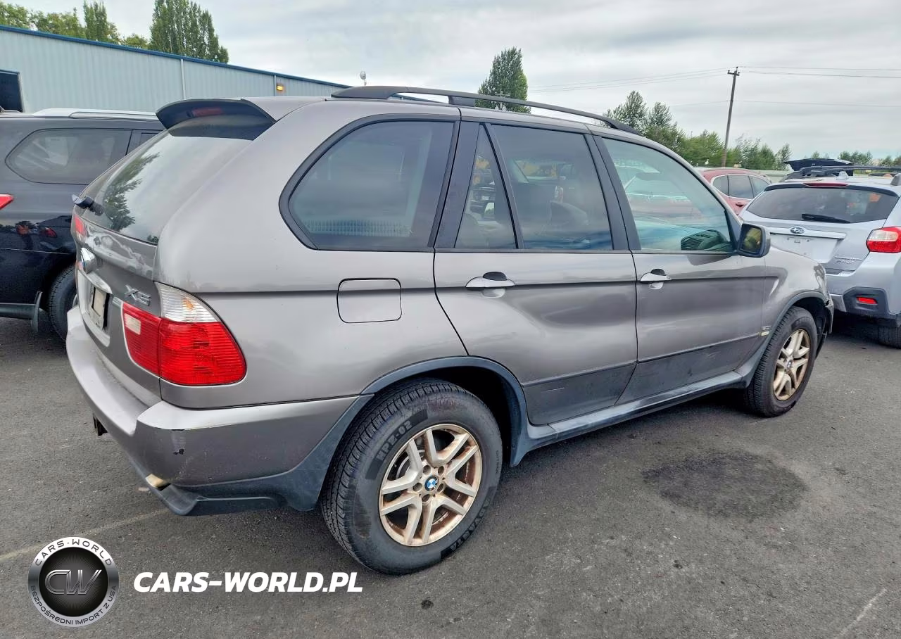 2006 BMW X5 3.0I VIN:5UXFA13566LY32906 - 3