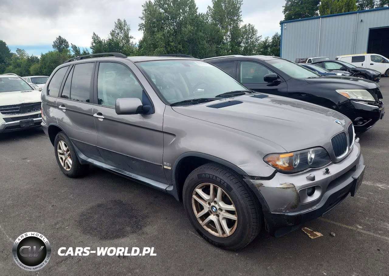 2006 BMW X5 3.0I VIN:5UXFA13566LY32906 - 4