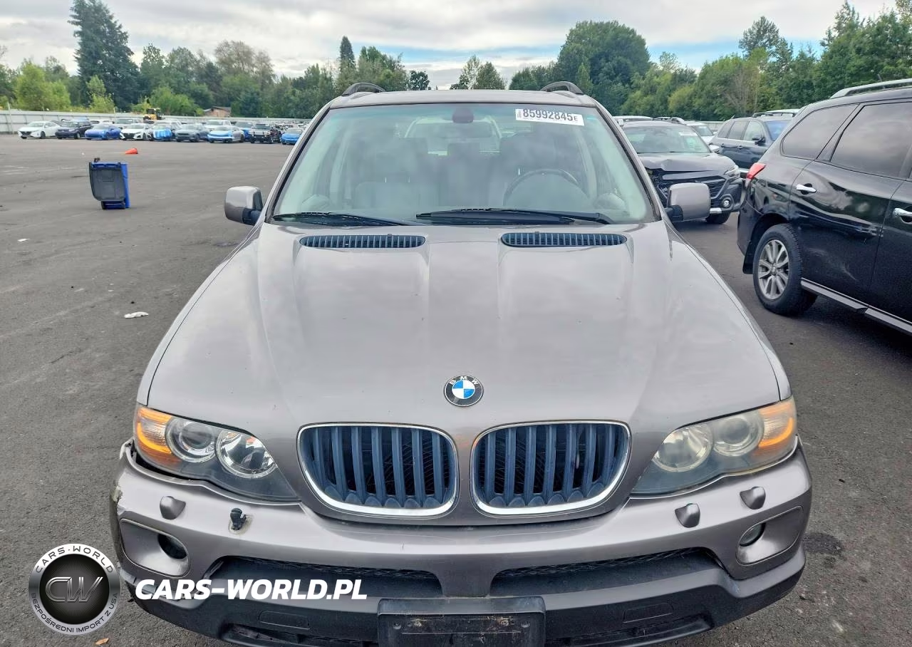 2006 BMW X5 3.0I VIN:5UXFA13566LY32906 - 5