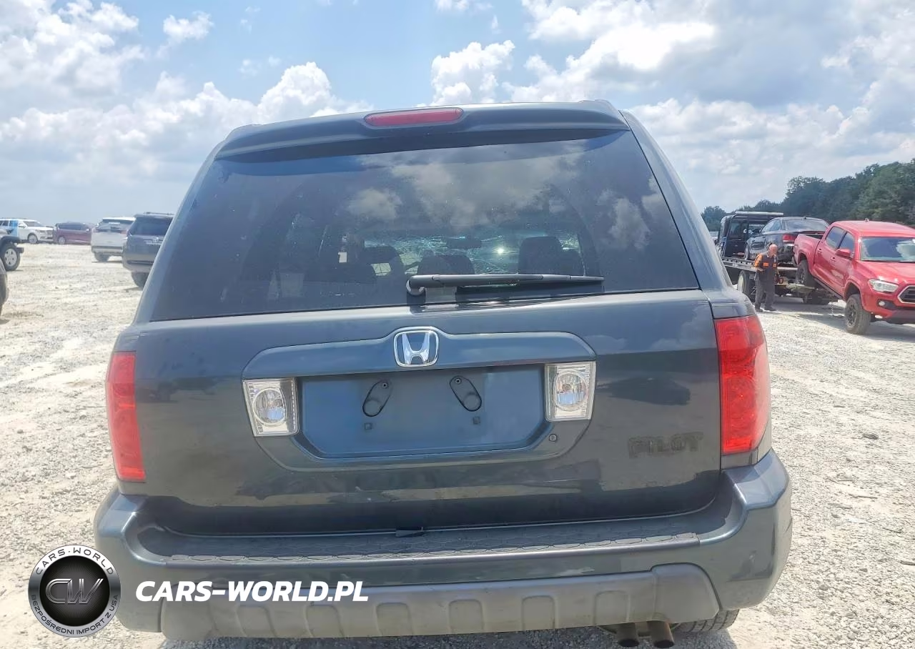 2004 Honda Pilot Ex VIN:2HKYF18464H546695 - 6