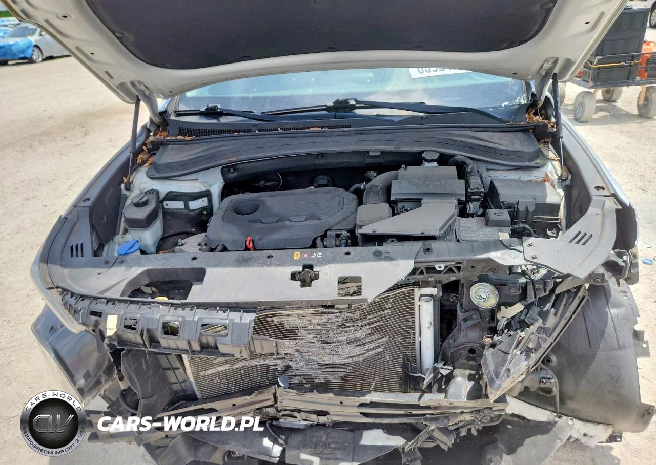 2020 Hyundai Santa Fe Se VIN:5NMS23AD0LH154525 - 12