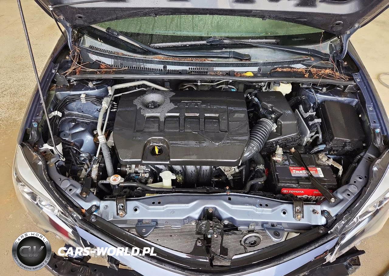 2017 Toyota Corolla Se VIN:2T1BURHE8HC803237 - 11