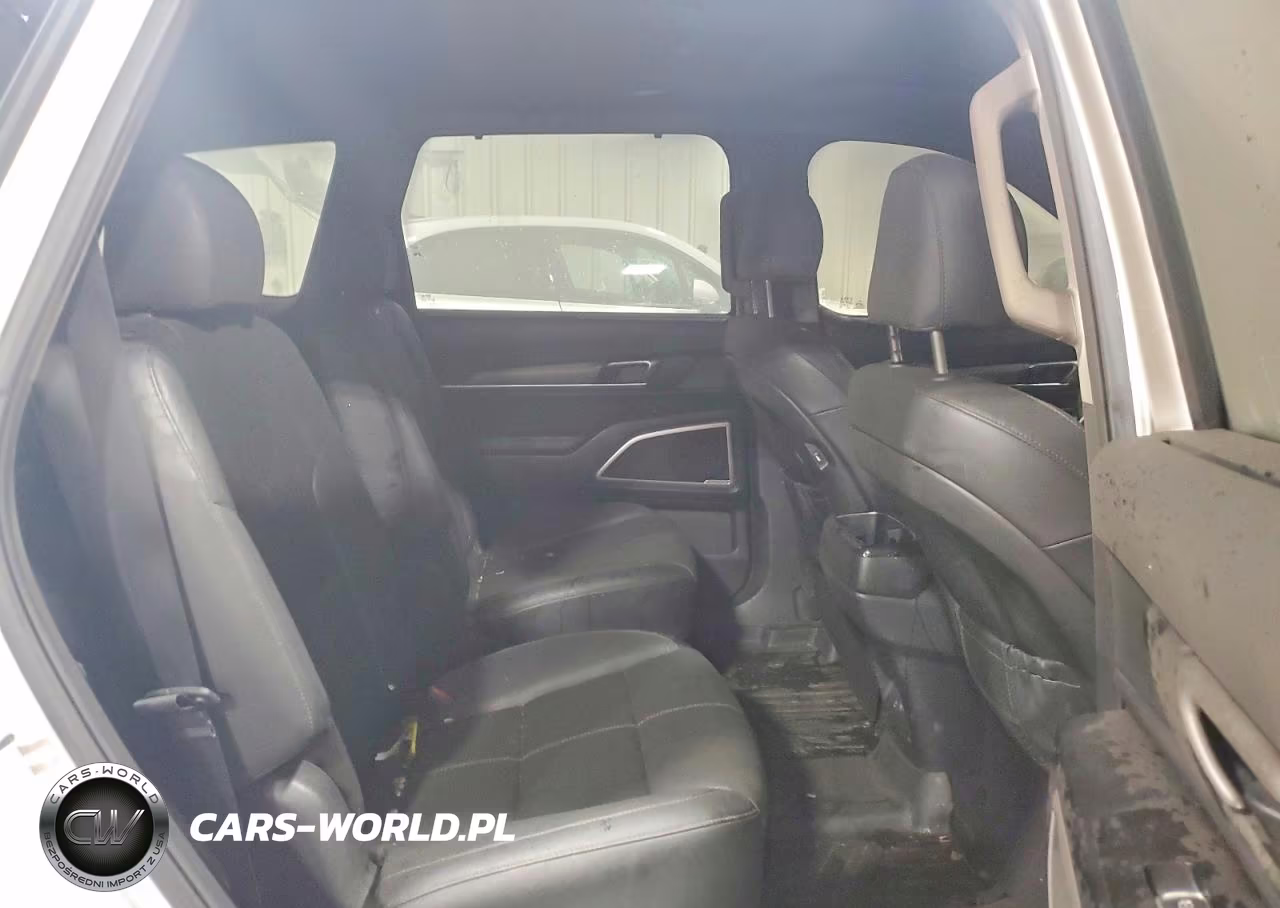 2021 Kia Telluride Ex VIN:5XYP3DHC4MG108195 - 11