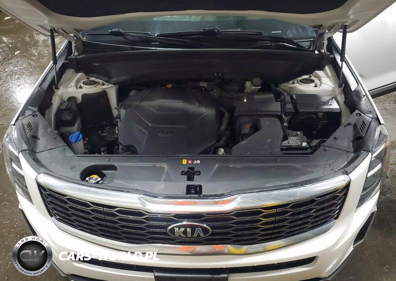 2021 Kia Telluride Ex VIN:5XYP3DHC4MG108195 - 12