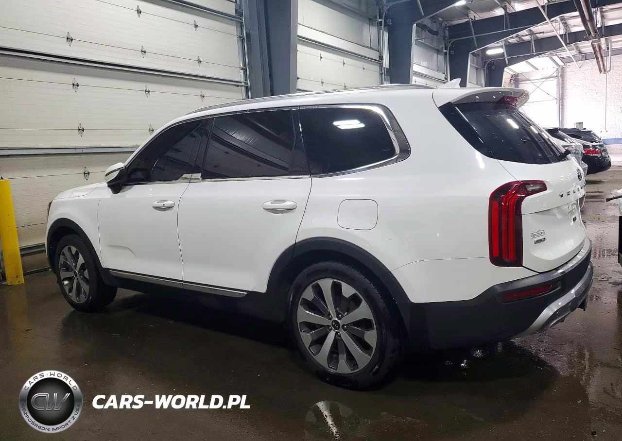 2021 Kia Telluride Ex VIN:5XYP3DHC4MG108195 - 2