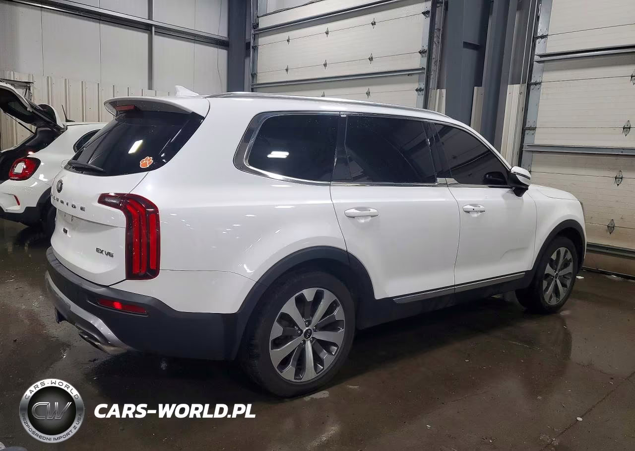 2021 Kia Telluride Ex VIN:5XYP3DHC4MG108195 - 3