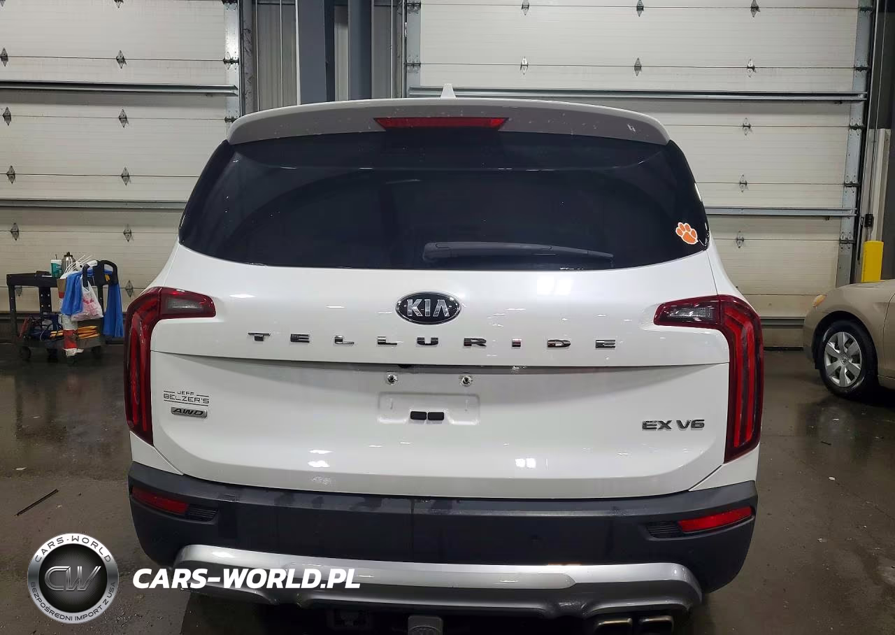 2021 Kia Telluride Ex VIN:5XYP3DHC4MG108195 - 6