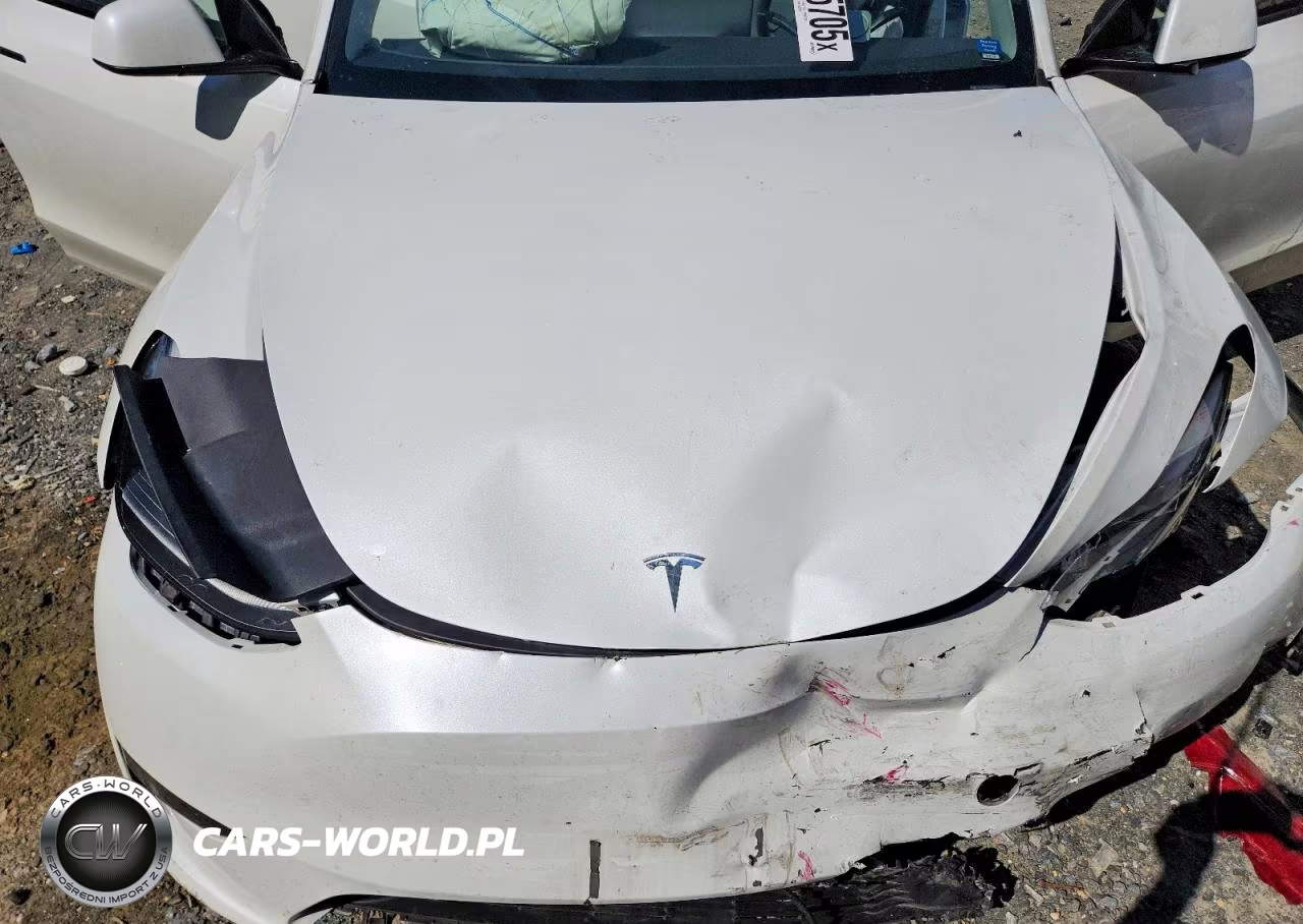 2023 Tesla Model Y VIN:7SAYGDEE6PF672573 - 11