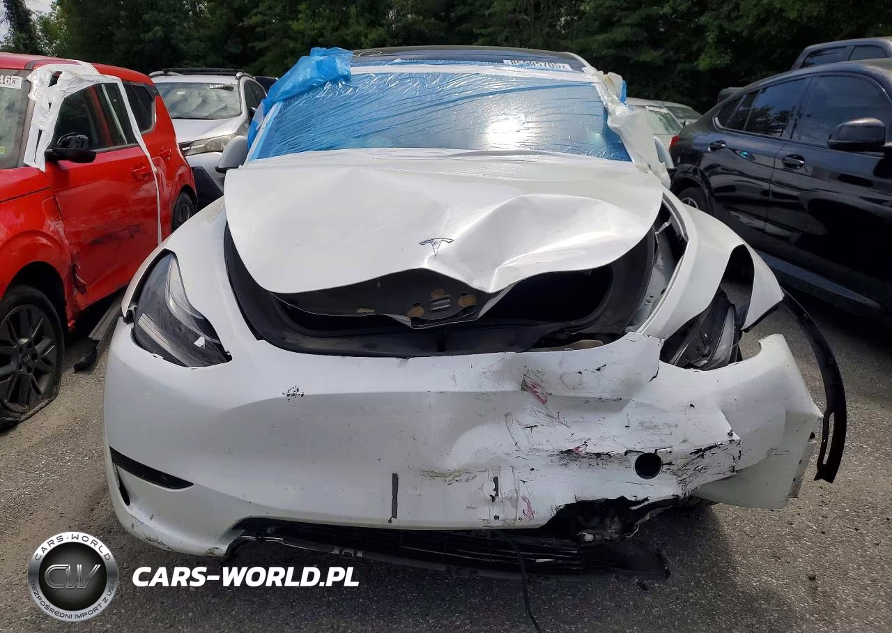 2023 Tesla Model Y VIN:7SAYGDEE6PF672573 - 5