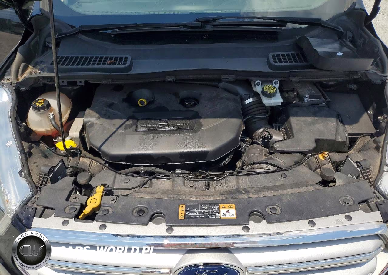 2019 Ford Escape Titanium VIN:1FMCU9J96KUB11677 - 11