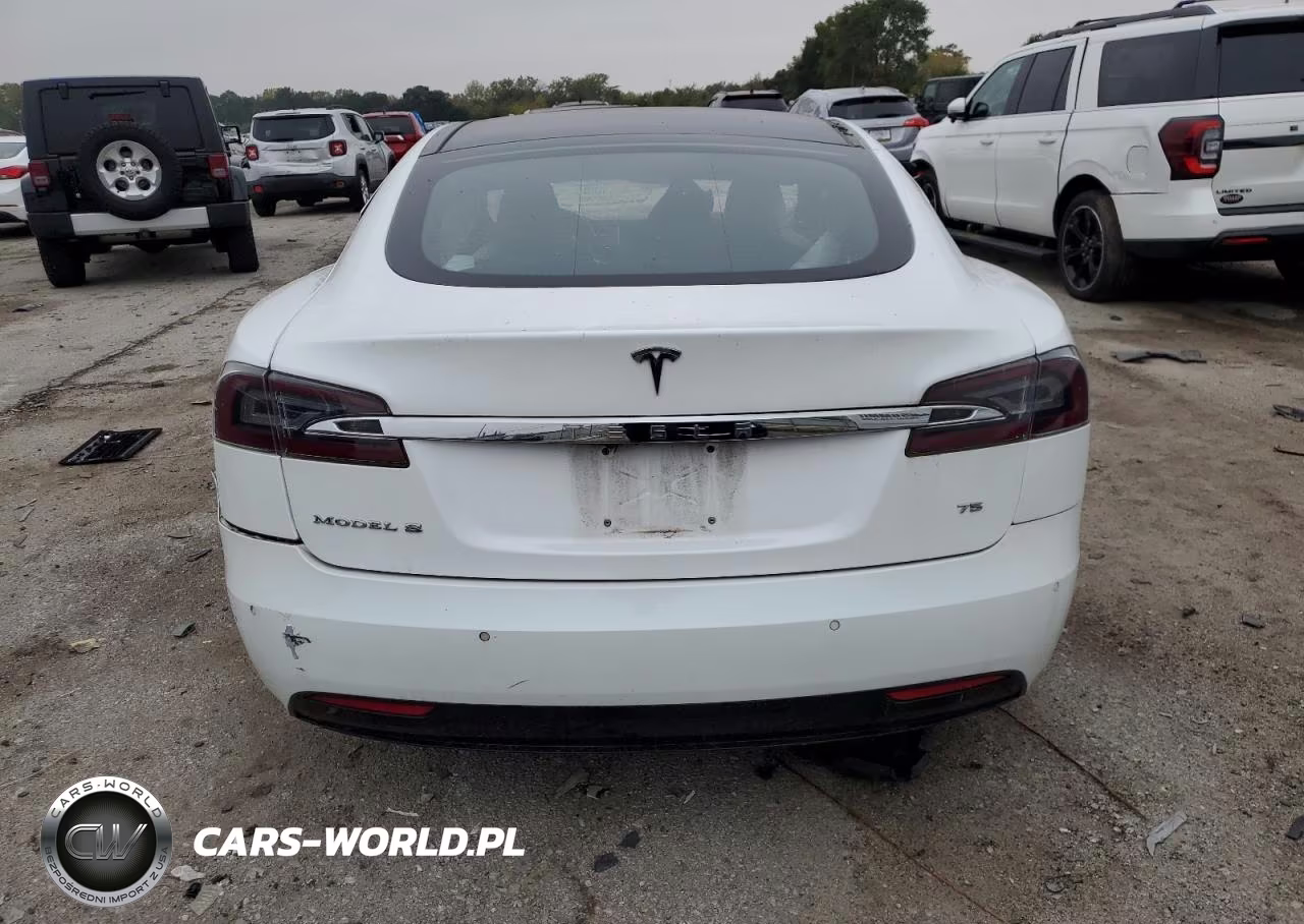 2016 Tesla Model S VIN:5YJSA1E15GF156138 - 6