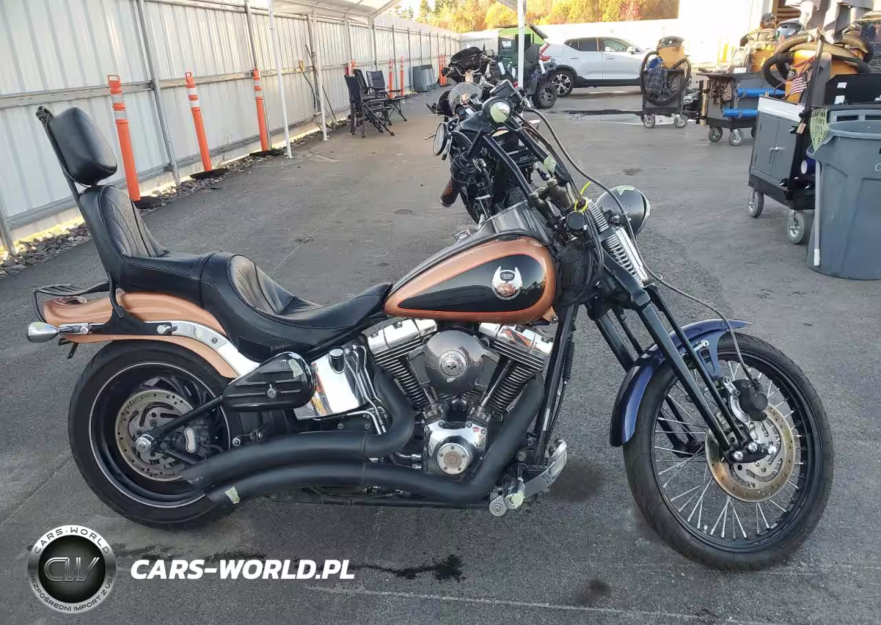 2008 Harley-Davidson Fxstc 105Th Anniversary Edition