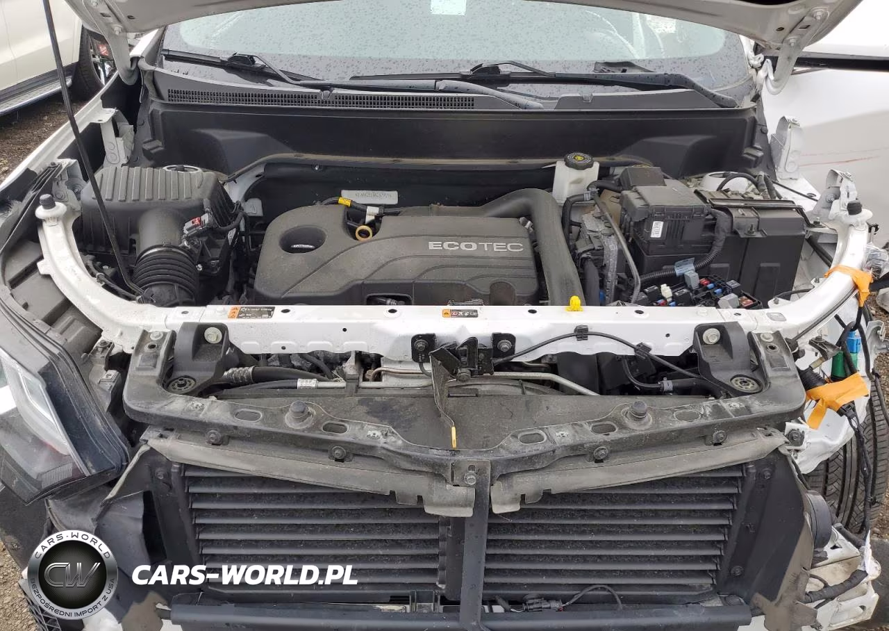 2019 Chevrolet Equinox Lt VIN:2GNAXJEV8K6263929 - 12
