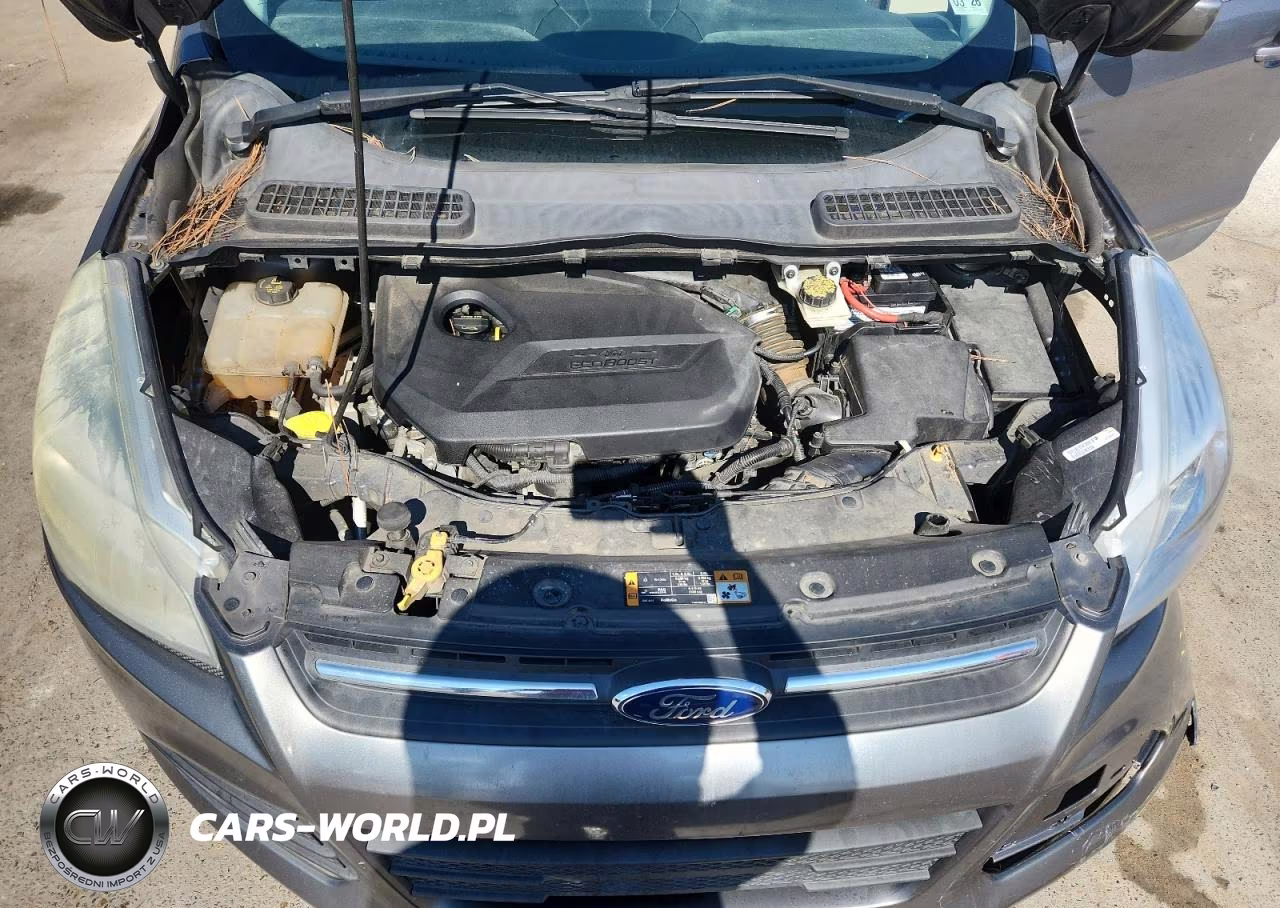 2014 Ford Escape Se VIN:1FMCU0GX4EUA35060 - 12
