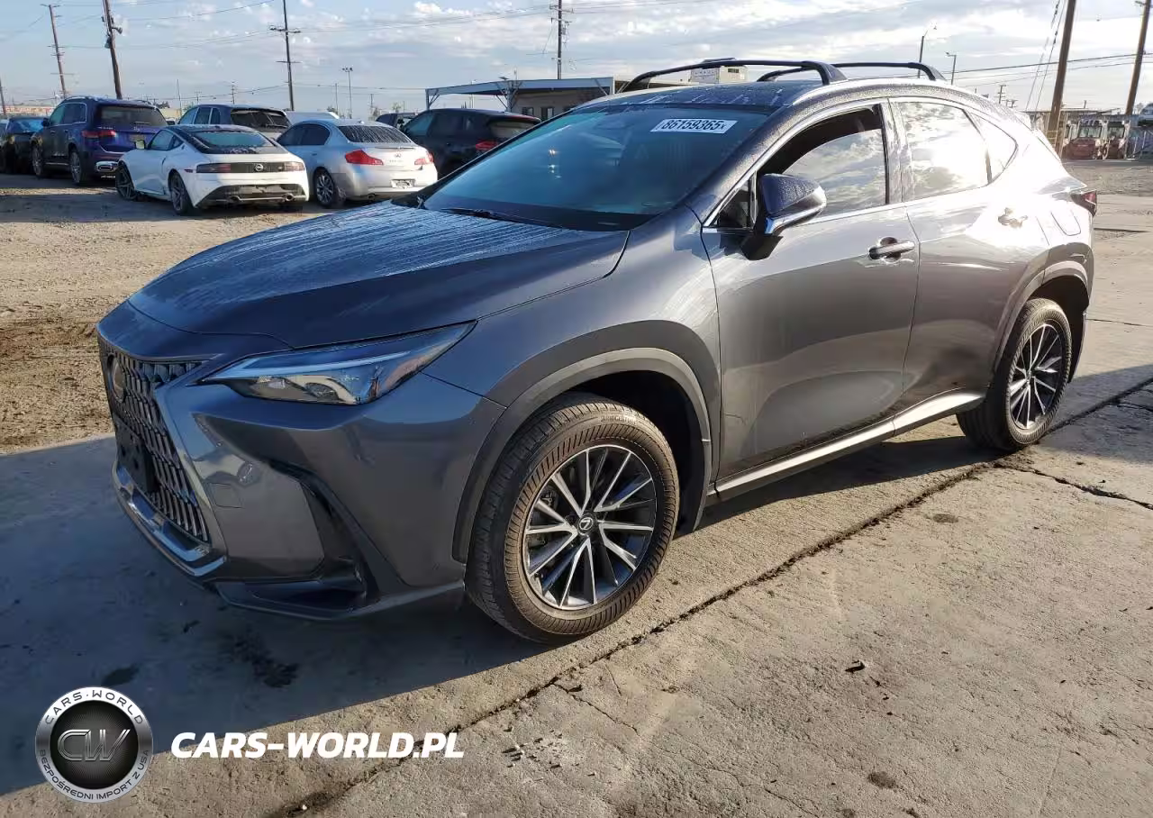 2024 Lexus Nx 250