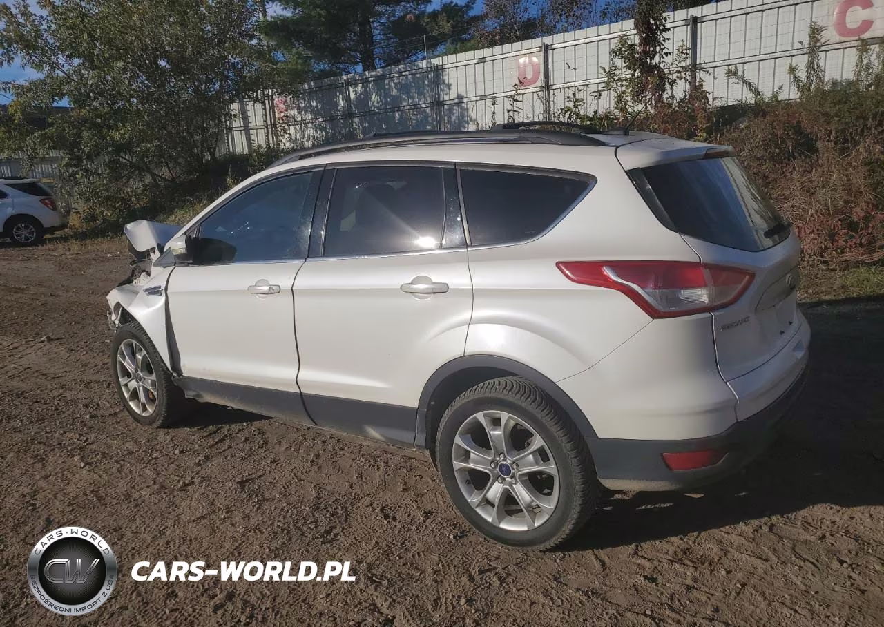 2013 Ford Escape Sel VIN:1FMCU0H94DUD28553 - 2
