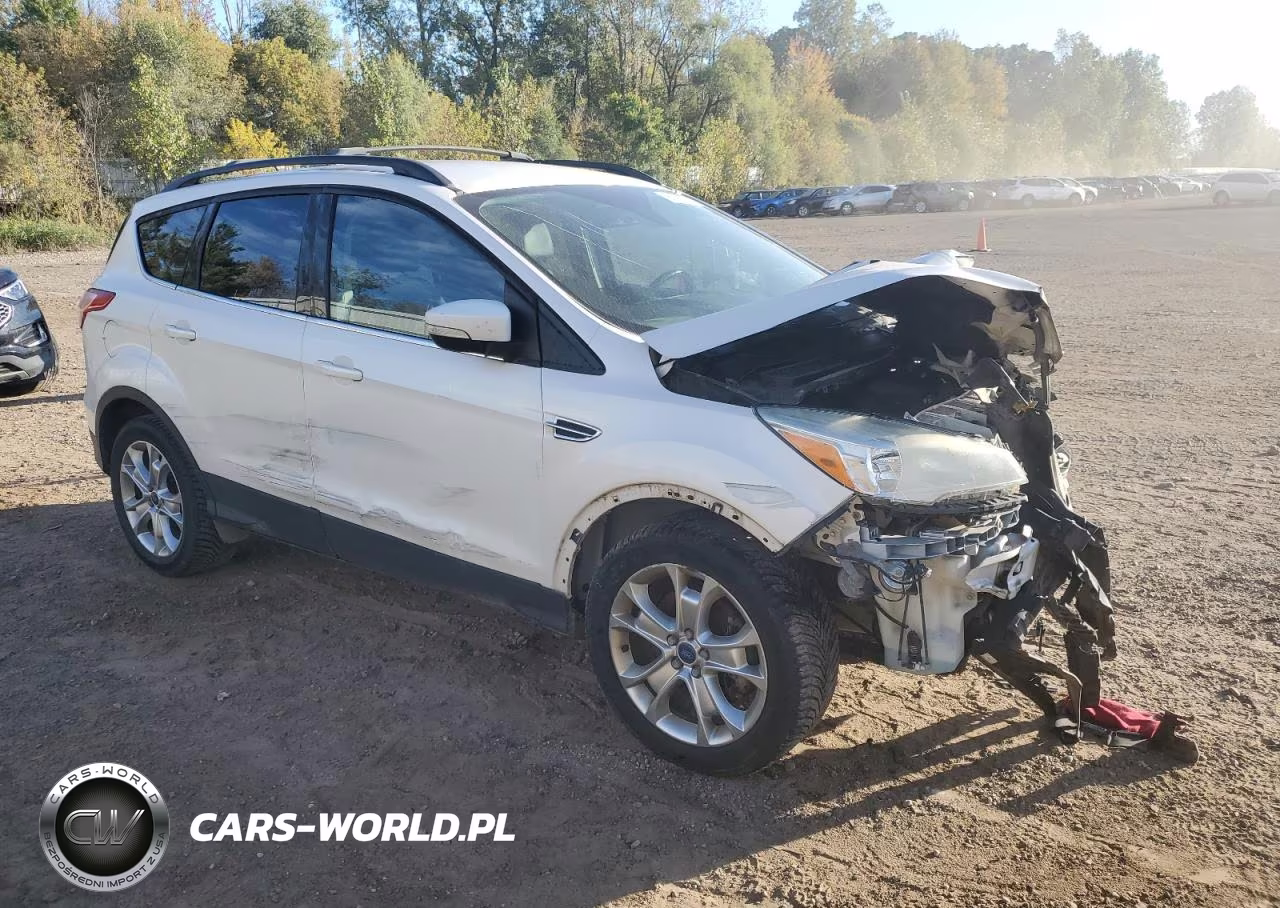 2013 Ford Escape Sel VIN:1FMCU0H94DUD28553 - 4